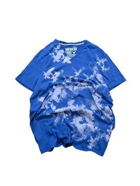 American Eagle Outfitters Mens Blue Eagle Graphic V-Neck T-Shirt‎ Vintage Fit L